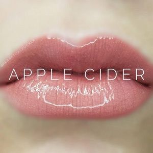 LipSense Apple Cider. New!